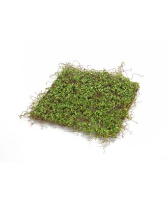 Premium Moss Mat Set (Set of 12)-Authentic-Looking Polyester and Plastic Moss Pads for Natural Vibes