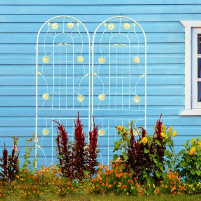 Rustproof Metal Garden Trellis for Climbing Plants