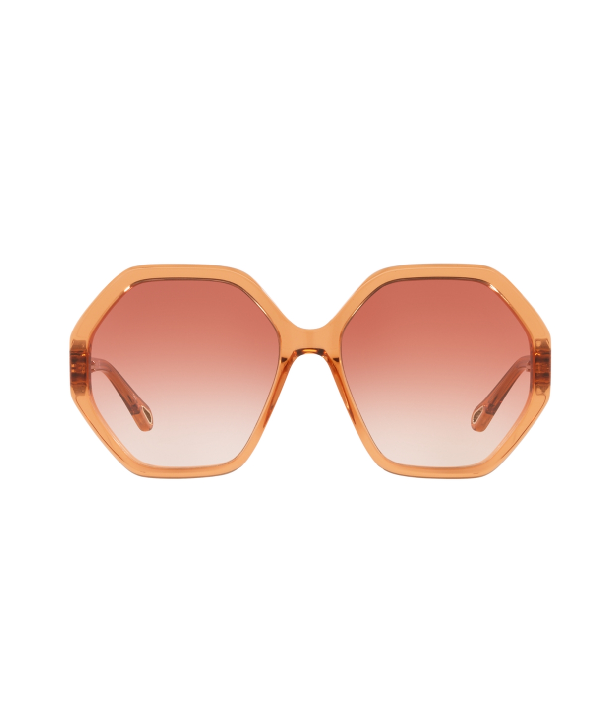 Chloé Unisex Sunglasses, Ch0008s In Avana
