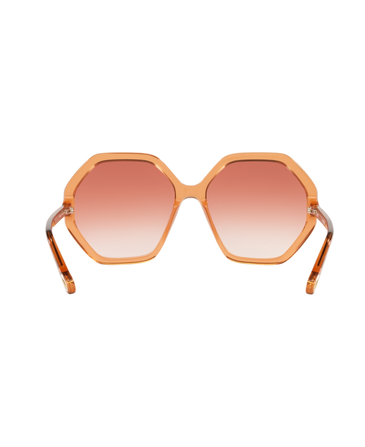 Chloé Unisex Sunglasses, Ch0008s In Avana
