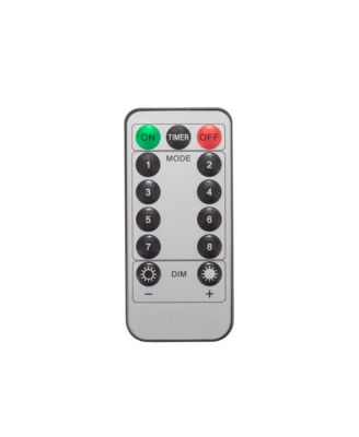 30' LED Outdoor String Lights with Remote