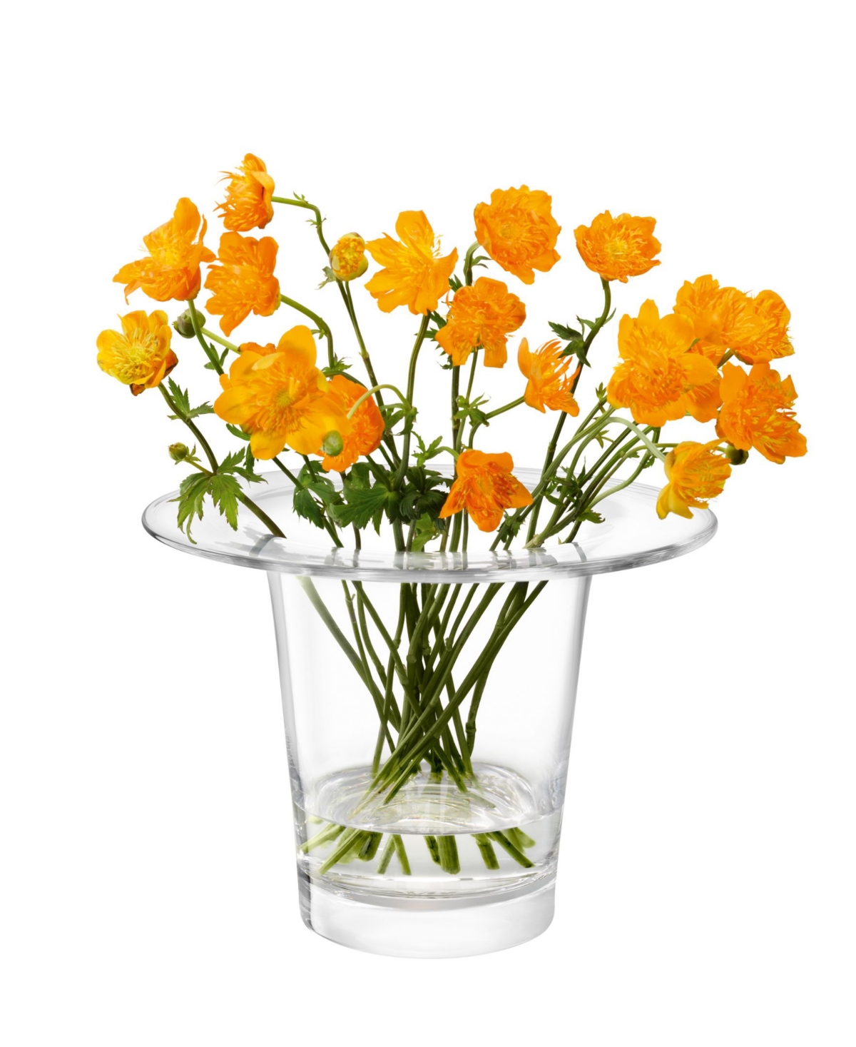 Shop Lsa International Victoria Vase/lantern H7.5in In Clear Glass