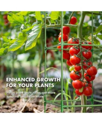 Tomato Plant Support Cages