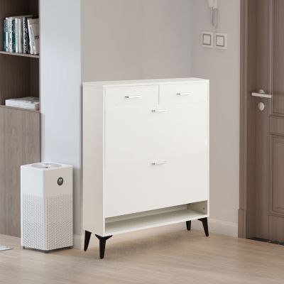 Modern Tipping Bucket Shoe Cabinet with Ample Storage