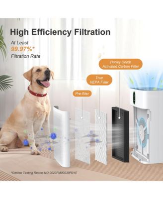1076 ft² Smart Air Purifier: Wi-Fi/Alexa control, PM2.5 display, HEPA filter. Removes dust, pollen, smoke. Ultra-quiet 24dB