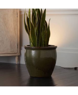 Can Mini Uplighting Indoor Accent Spot-Light Plug-In Floor Plant Home Decorative Art Desk Black Finish 6 1/2" High