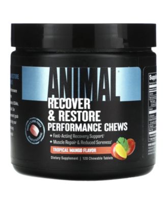 Animal