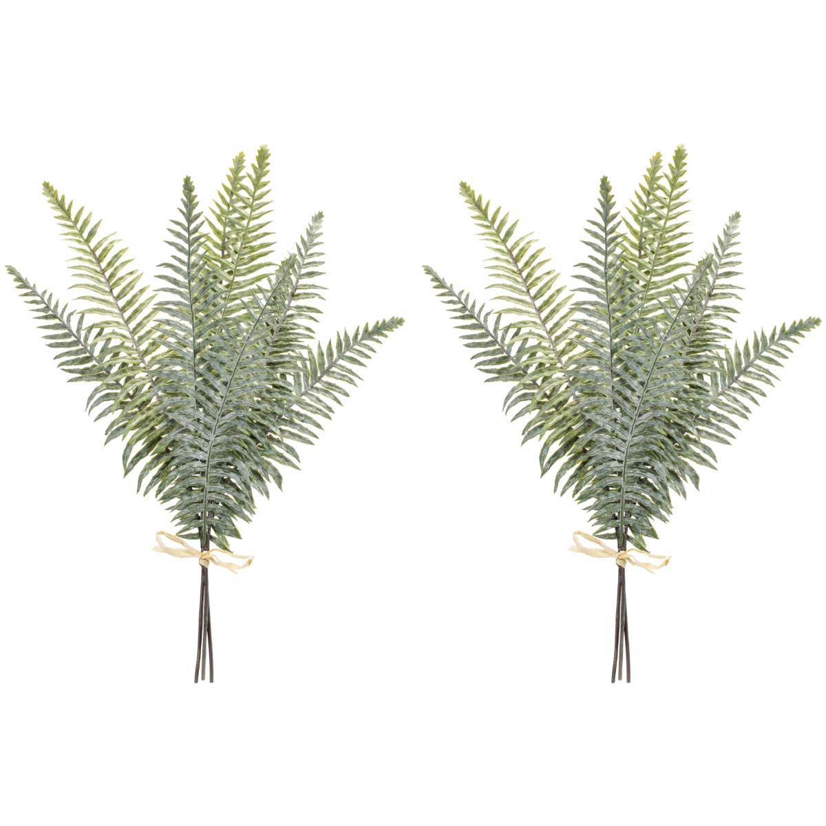 Fern Bundle for Natural and Elegant Holiday and Home Decor (Set of 2) - Green