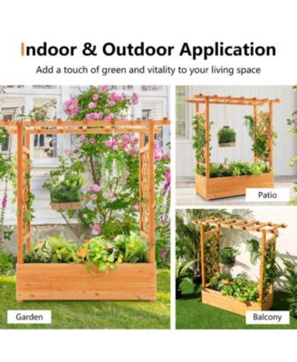 Raised Garden Bed with Trellis or Climbing Plant and Pot Hanging