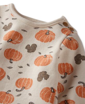 Baby Organic Cotton Harvest Pumpkins Top & Pants, 2-Piece Set