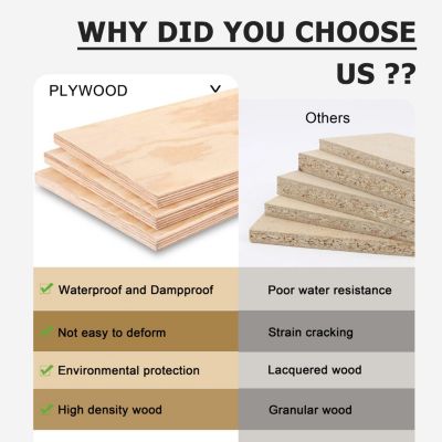 Sleek Wall-Mounted Vanity with Wave Plate and Sink