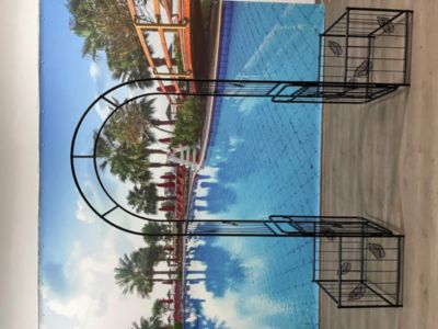 Metal Garden Arch for Support and Events