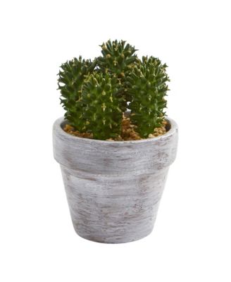 Realistic Cactus Artificial Plant for Stylish Home Decor (Set of 3)