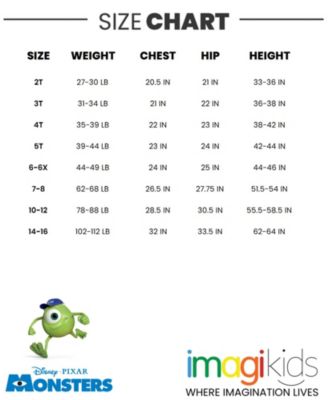 Toddler Boys Disney Winnie the Pooh Lion King Pixar Toy Story Tigger T-Shirt and Mesh Shorts Outfit Set to