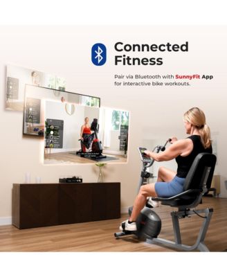 Smart Magnetic Recumbent Bike with Hand Cycle