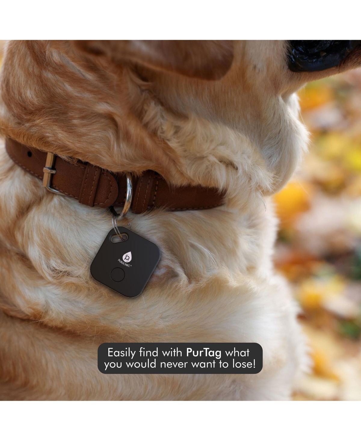 Pursonic Purtag Tracker: Ultimate Solution for Keeping Tabs on Your Belongings