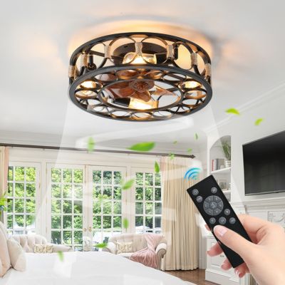 Caged Ceiling Fan with Lights and Remote
