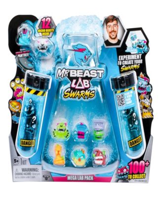 Mr Beast Lab