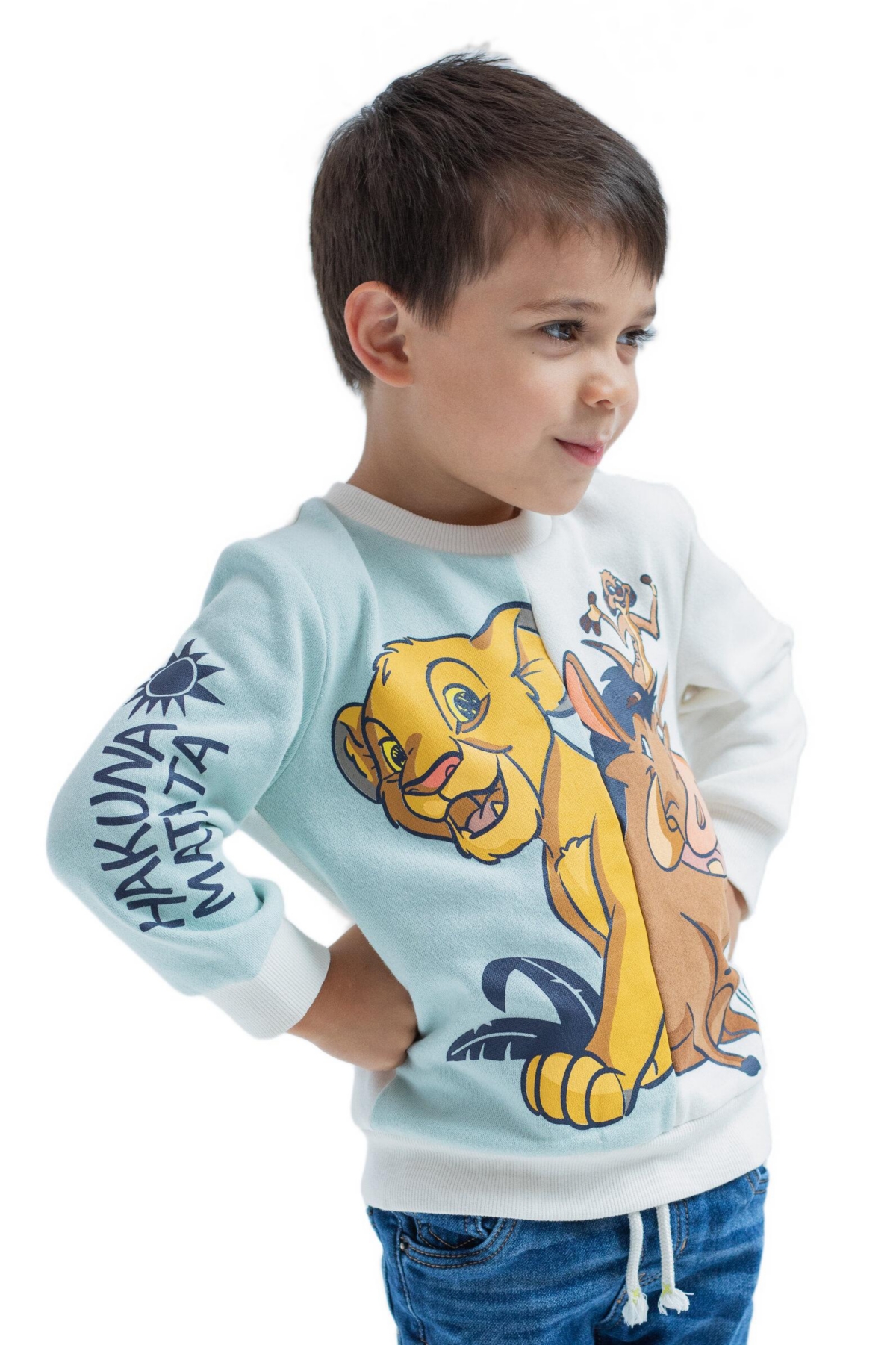 Disney Boys Lion King Mickey Mouse Cars Toy Story Sweatshirt to (2T - 18-20)