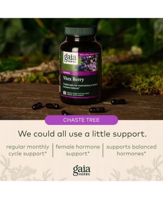 Vitex Berry (Chaste Tree) - Supports Hormone Balance & Fertility for Women - Helps Maintain Healthy Progesterone Levels to Support Menstrual Cycle Health - 120 Caps (60-Day Supply)