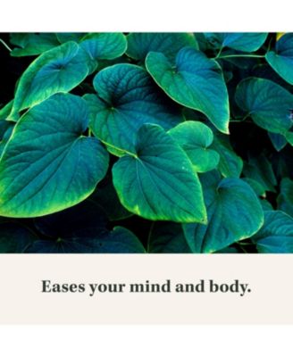 Kava Root - Helps Sustain a Sense of Natural Calm and Relaxation During Times of Stress - Made With Noble Kava Cultivars - 60 Liquid Phyto-Capsules (20-Day Supply)