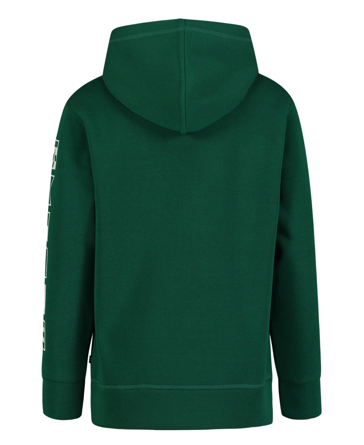 Nautica Toddler and Little Boys Flag Pullover Hoodie