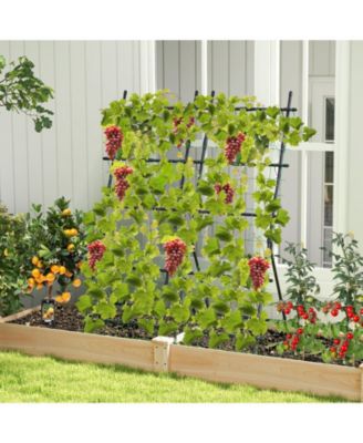 74 Inch Tall Garden Trellis for Flower Vine Vegetable Fruit Pea