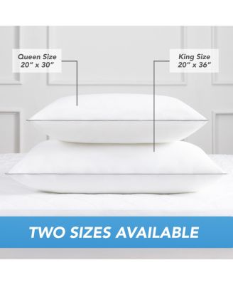 Host & Home Hypoallergenic Pillows (2 Pack) - White with Silver Piping, Cotton with Poly Fill - Queen 20x30 in.