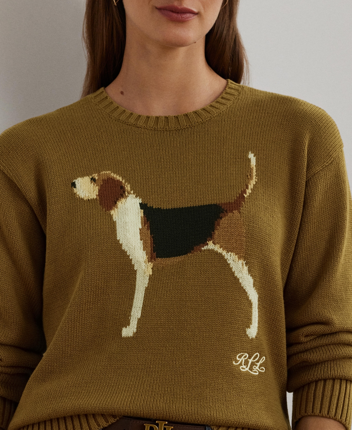 Beagle sweater women's top