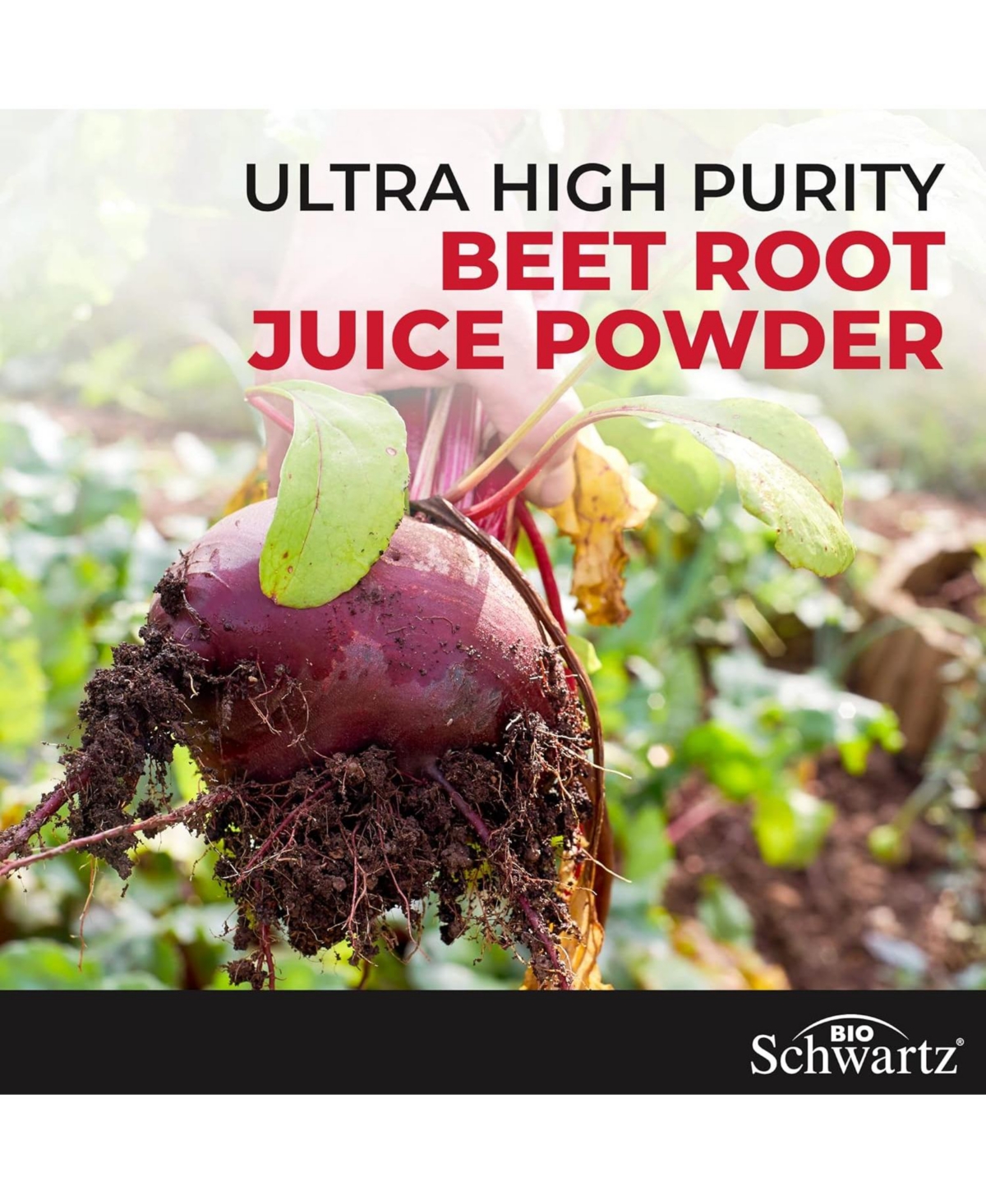 BioSchwartz Sugar Free Beet Root Gummies - Nitric Oxide Beet Chews Infused with Coconut Oil for Highest Absorption - Supports Energy & Whole Body Heal