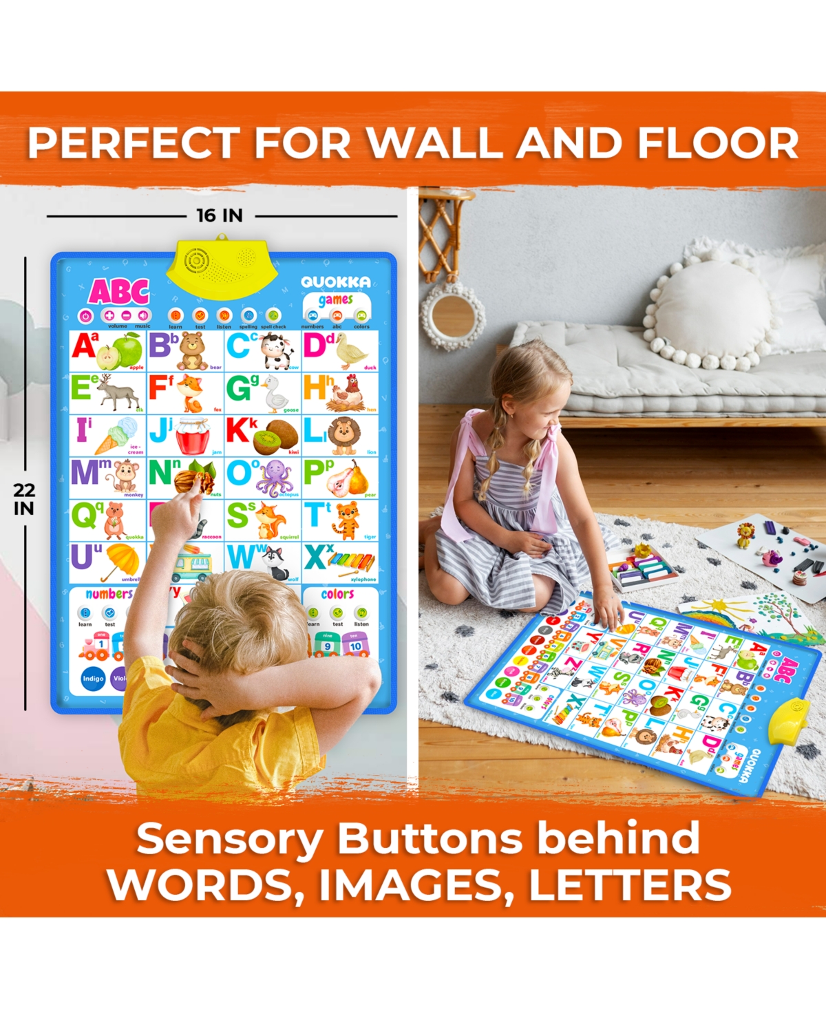 Quokka Educational Interactive Poster for Toddlers 3-5