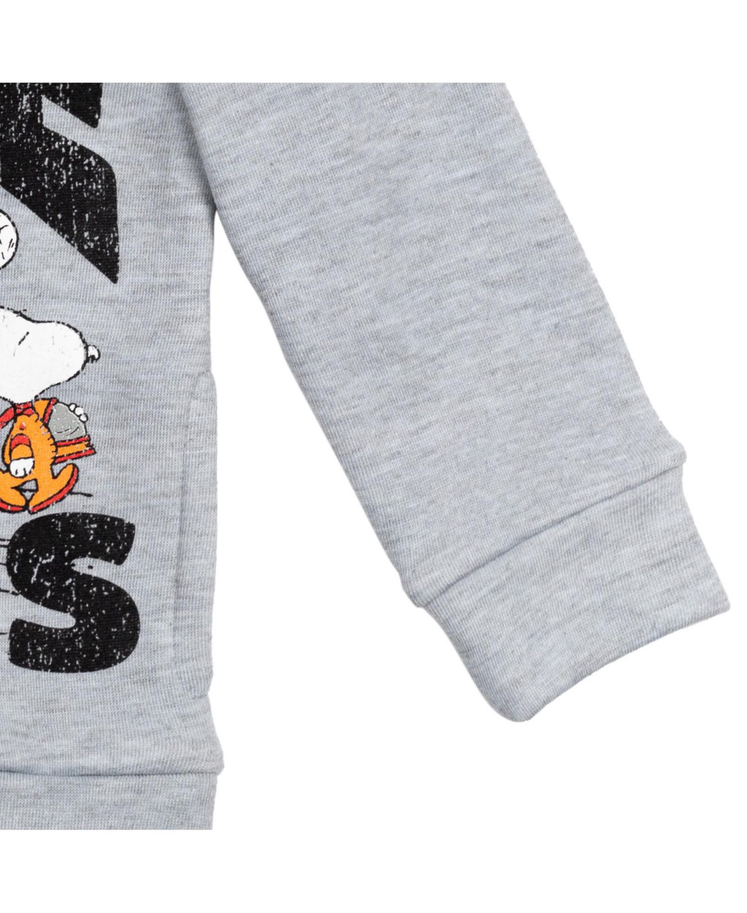 Boys Peanuts,Woodstock Snoopy Fleece Pullover Hoodie