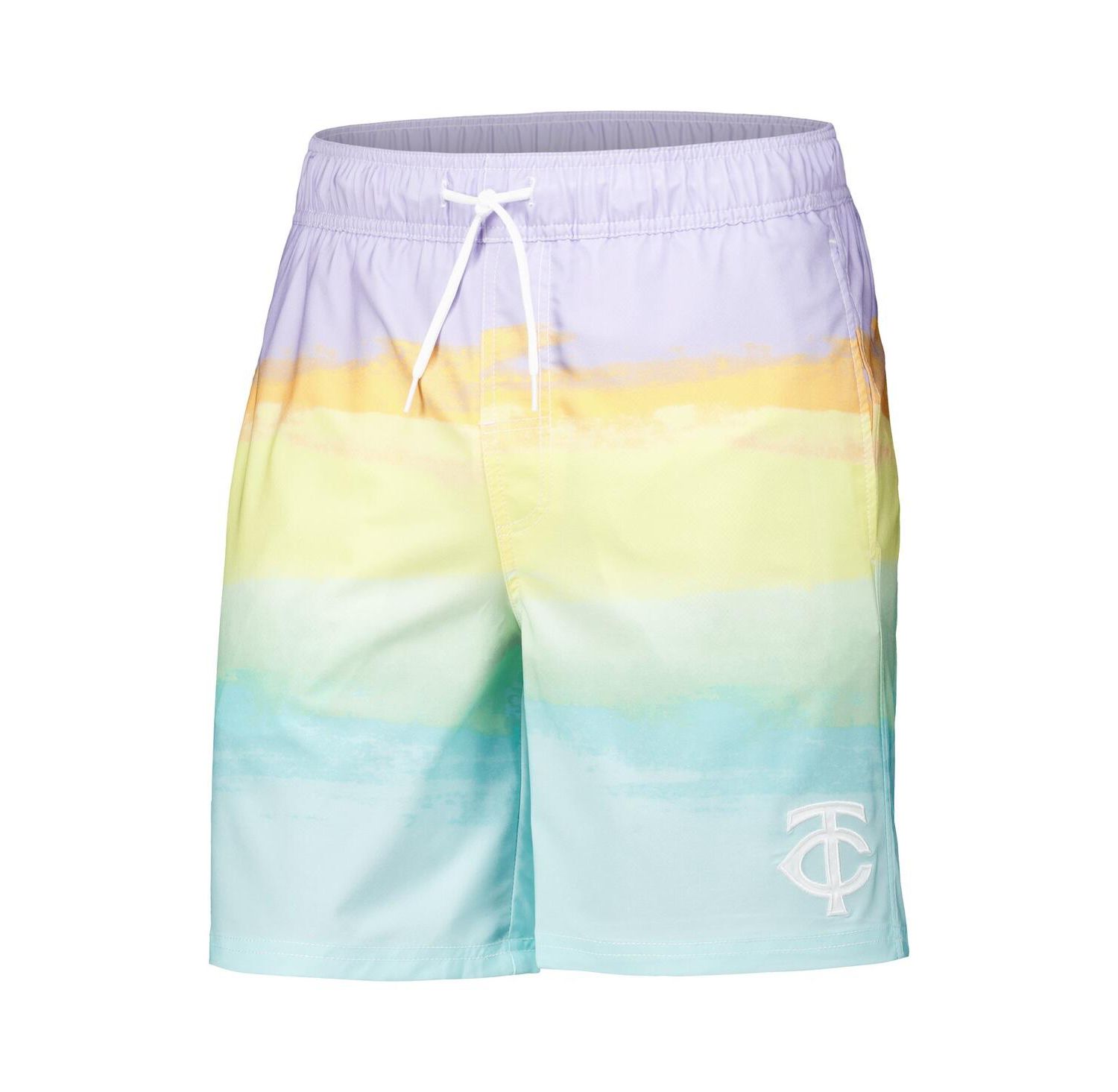 Men's Minnesota Twins Perfect Game Volley Board Shorts