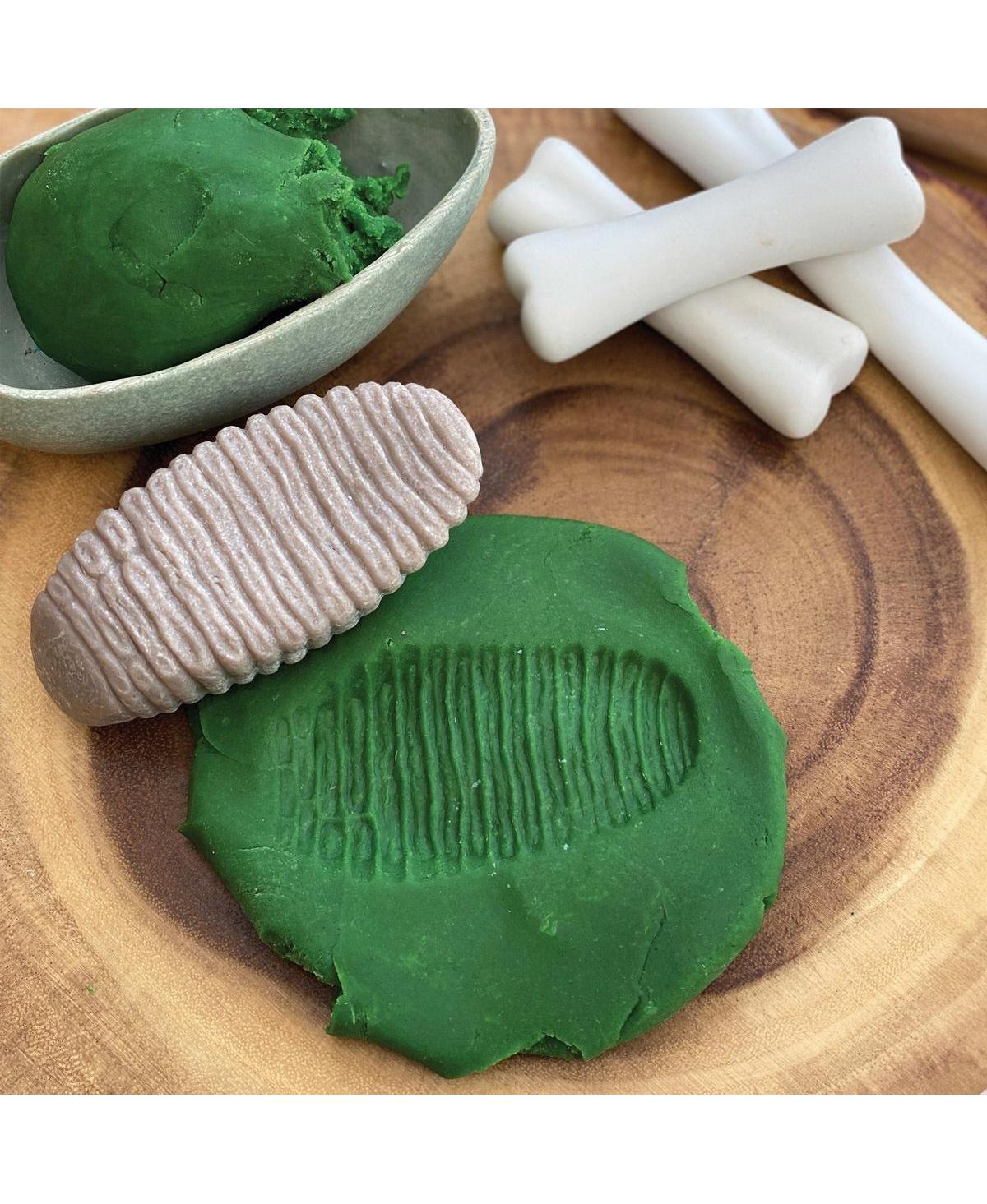 Yellow Door Sensory Play Stones: Prehistoric Teeth - 8 Pieces