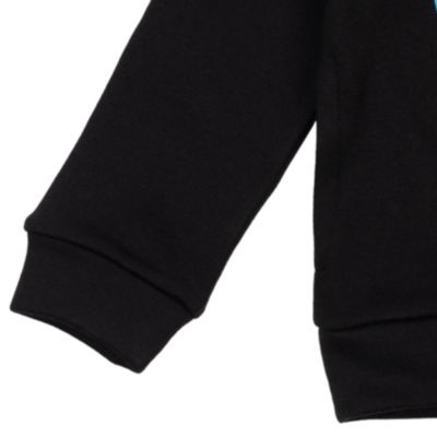 Boys Warner Bros. Fleece Pullover Hoodie