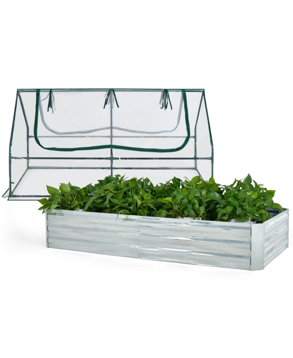 6 x 3 x 3 Feet Galvanized Raised Garden Bed with Greenhouse