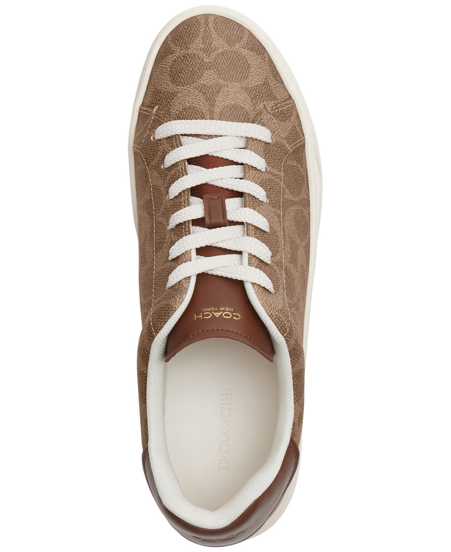Women's High Line Update Signature Canvas Lace-Up Sneakers