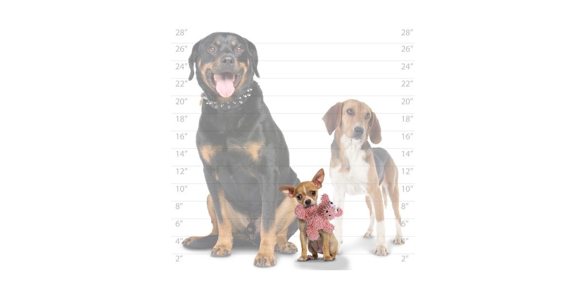 Mighty Mighty- Microfiber Ball Jr Elephant, Monster & Pig-Combo Pack. Durable Dog Toys