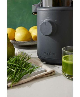 H310 Personal Easy Clean Slow Juicer