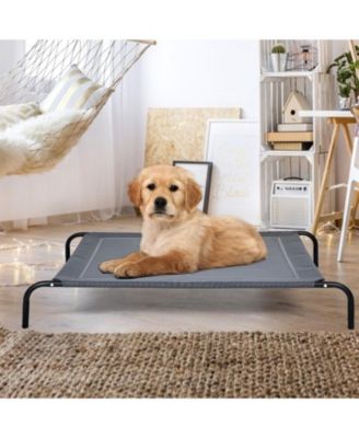 Elevated Pet Bed for Medium Large Dogs