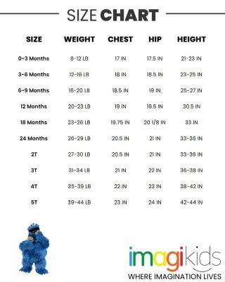 Baby Boys Cookie Monster Pullover Hoodie and French Terry Shorts