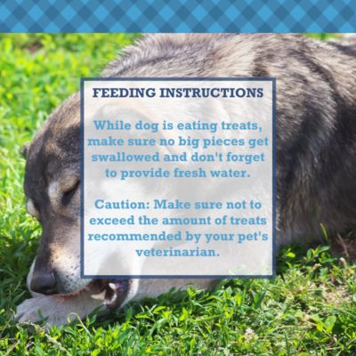 Whole Pig Ears Dog Treats - 100% Natural, Premium Pork Chews (15-Pack)