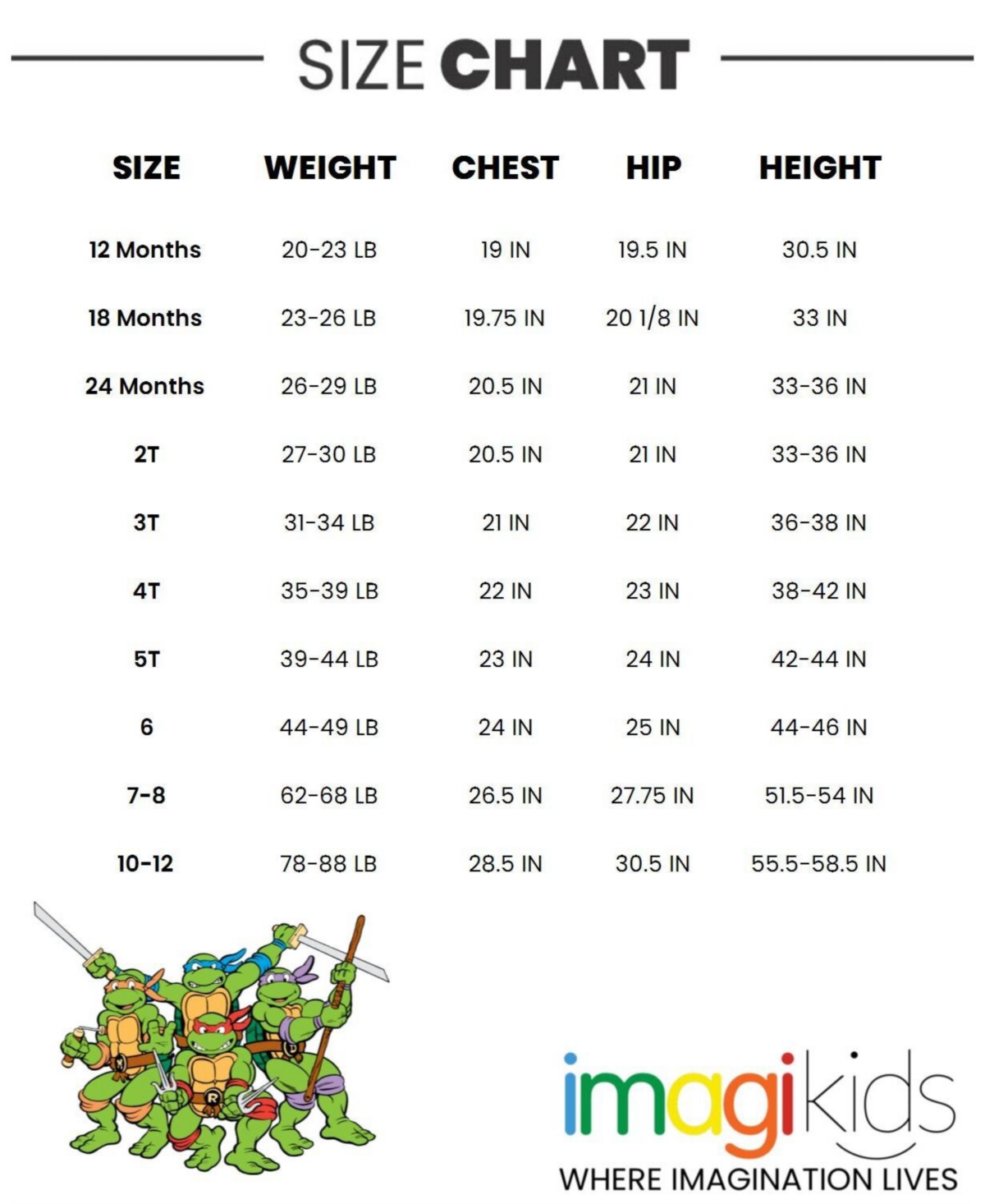 Teenage Mutant Ninja Turtles Toddler Boys Fleece Sweatshirt and Pants Outfit Set to (12 Months - 14-16) -/ green