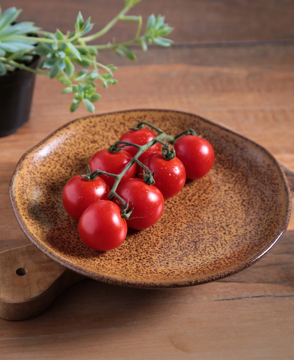 Porto Brasil Stoneware Dessert Plates, Set Of 6 In Dijon