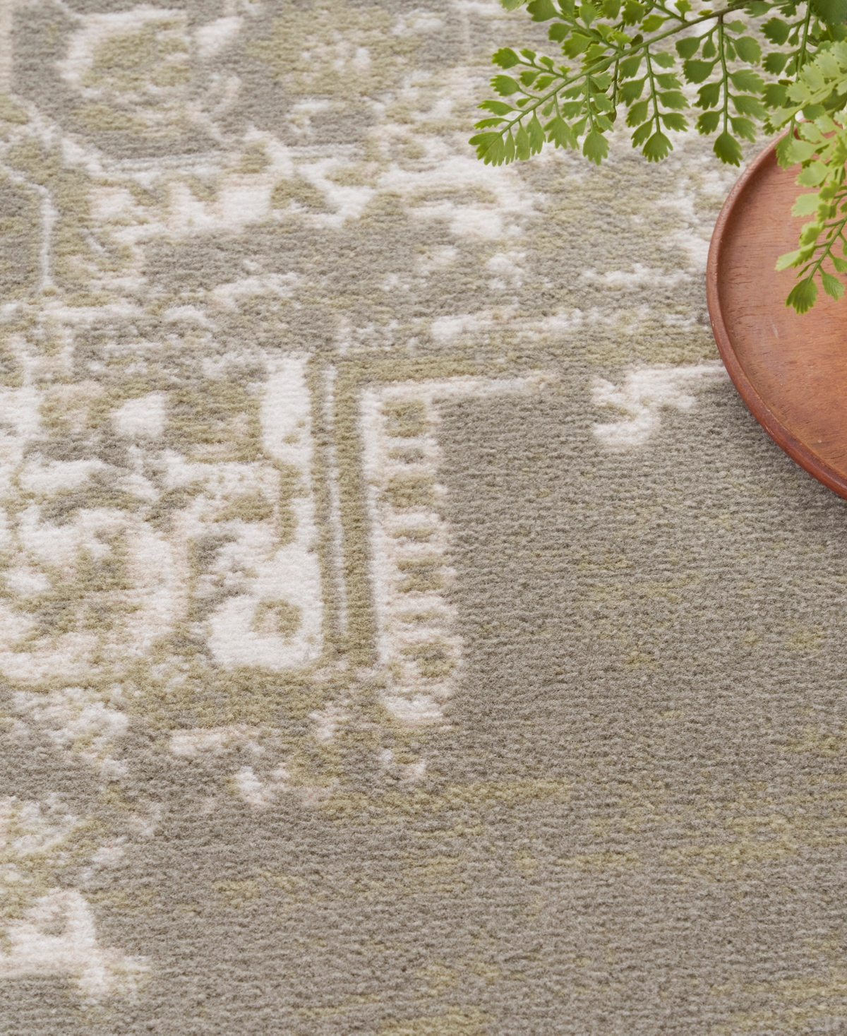 Nourison Home Grafix Grf14 5'3"x7'3" Area Rug In Olive