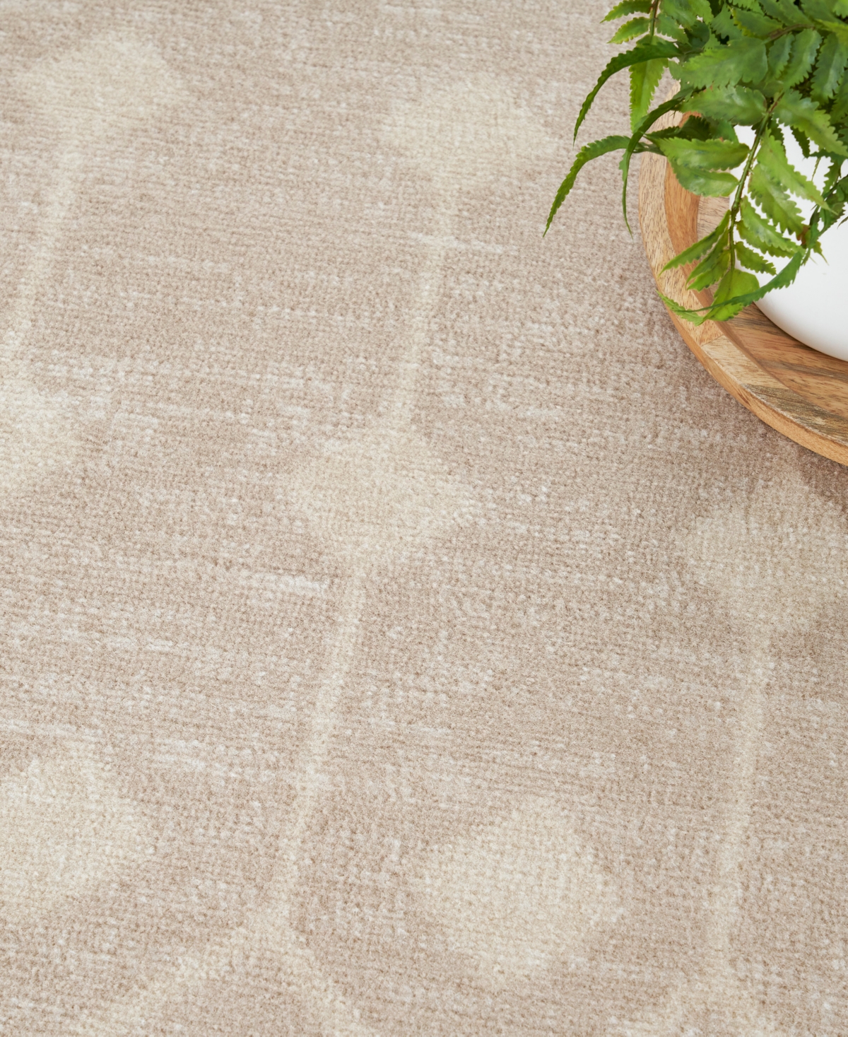 Nourison Home Grafix Grf37 5'3"x7'3" Area Rug In Beige