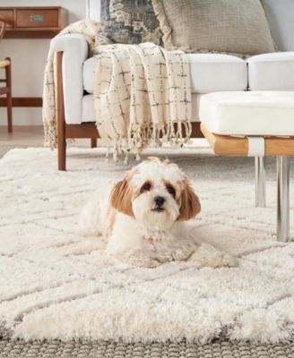 Dreamy Shag DRS07 4'x6' Area Rug