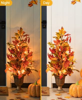 36"H Fall Lighted Maple Leaves Urn Potted Porch Tree, 20 Warm Lights with Timer