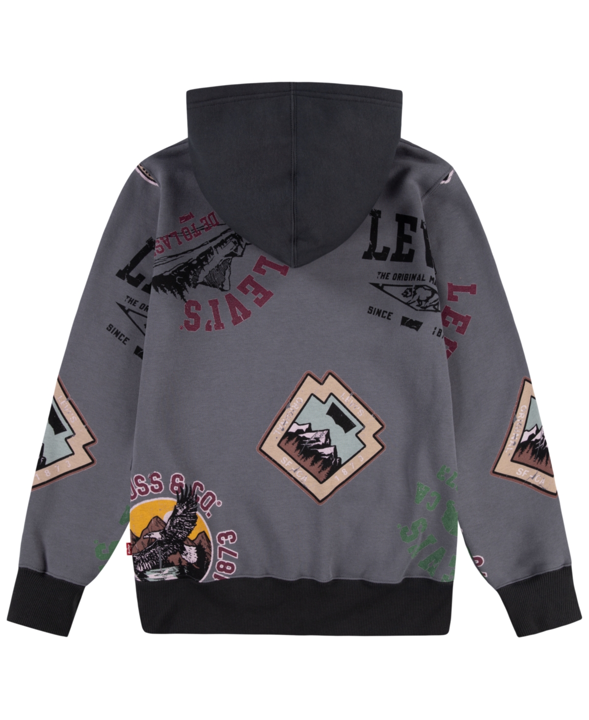 Levi's Big Boys Road Trip Pullover Hoodie In Castlerock
