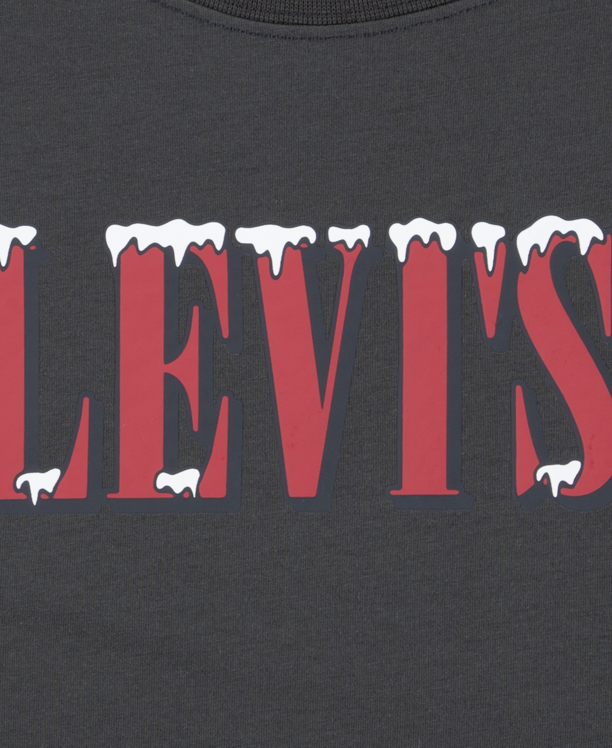 Levi's Big Boys Snowed in Tee